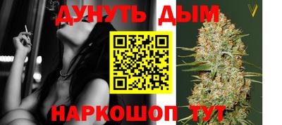 молекула духа Каменск-Шахтинский