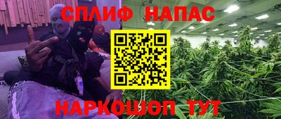 молекула духа Каменск-Шахтинский