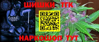 молекула духа Каменск-Шахтинский