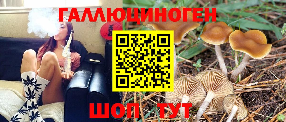 Галлюциногенные грибы MAGIC MUSHROOMS Белово