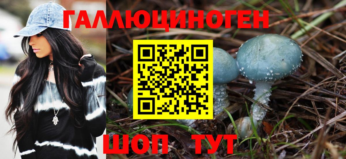 Псилоцибиновые грибы MAGIC MUSHROOMS  Вход с VPN  Белово 